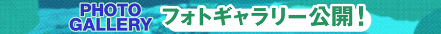 フォトギャラリー公開！
